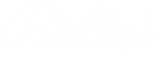 ballys-logo-white-2