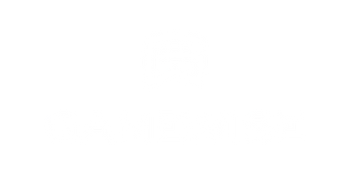 gamewise-white-logo